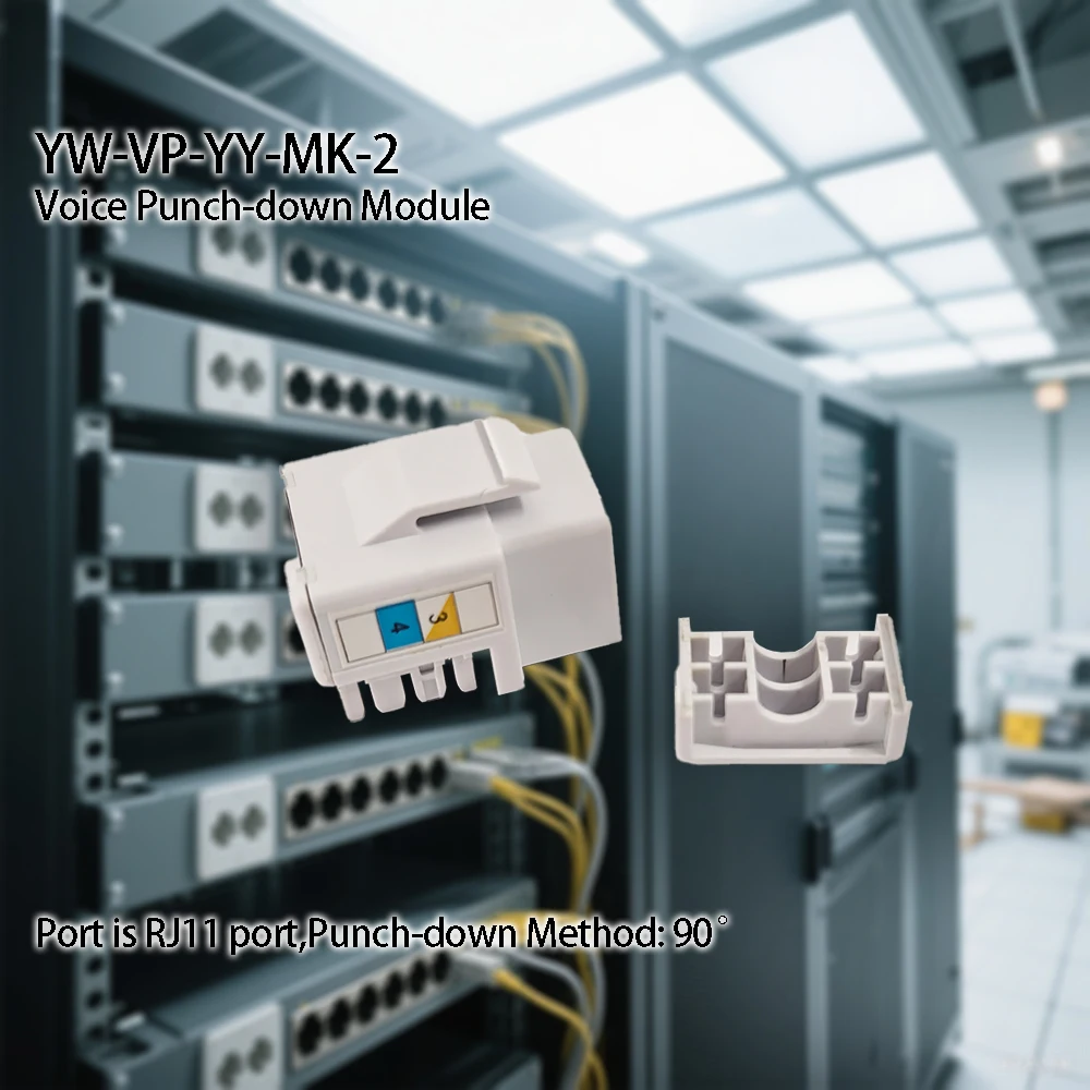 High Quality Voice Punch-down Module for Server Room/Data Center factory