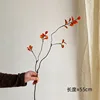 Short branches and autumn leaves