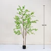 Verde 180cm