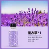 lavender essential oil