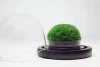Green 4#