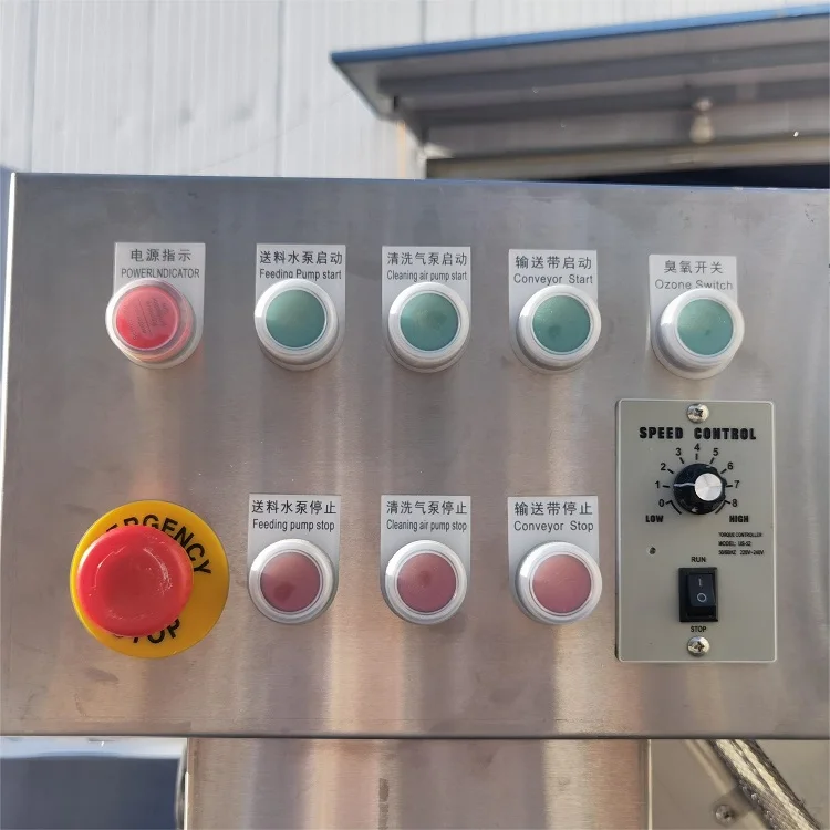 High Efficient Circulating Water Chestnut Portulaca Ormosia Washer Conveyor Tremella Fruit Vegetables Clean Washing Machine