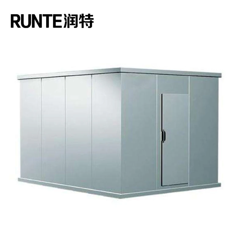 Refrigeration/ Walk in Fridge/ Cold Room Freezer for Sales