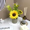 Cuenca de ceniza de girasol tipo B