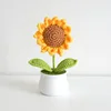girasole