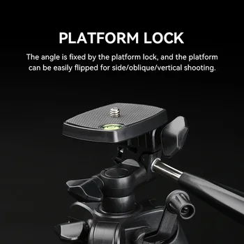 FB-T20 New Tripod Live Broadcast Equipment Hot Led Ring Light Self-timer  Adjustable Tripod Phone Holder Camera Tripod detail image