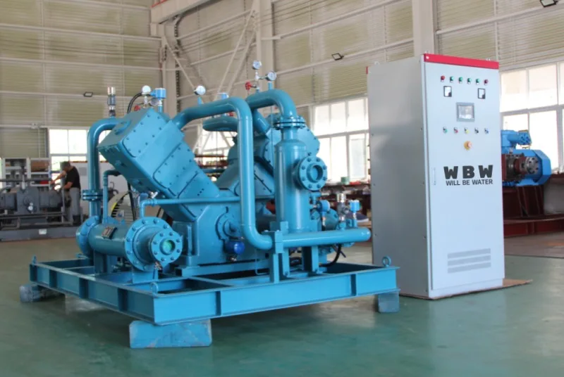 Natural Gas Compressor Small Gas Station Oil-free Air-cooled CNG Compressor