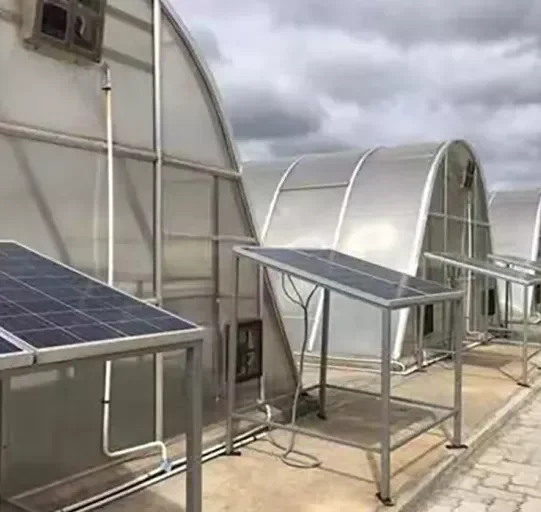 Multipurpose Tunnel Solar Dryer Dry Drying Machine Oven Room Solar Grain Herbs Tea Pet Food Dryer