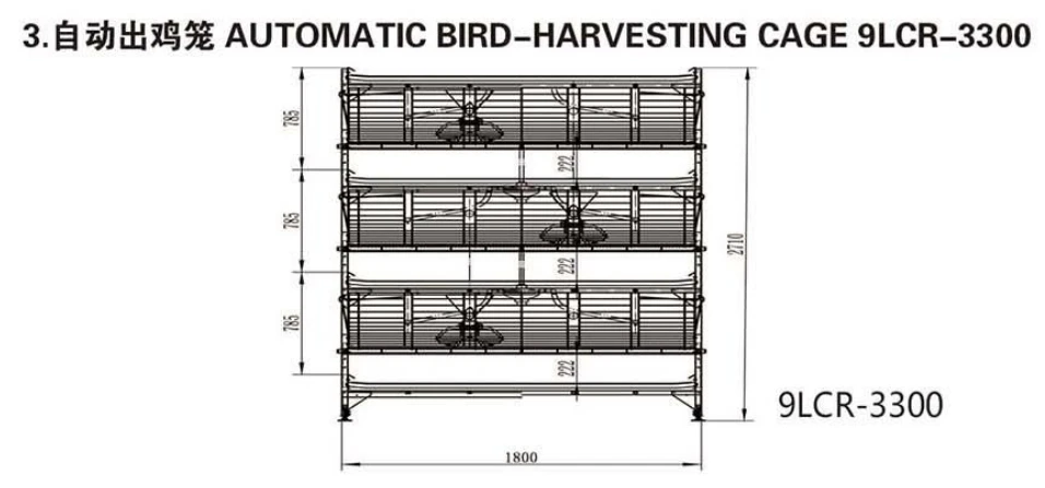latest company case about Long Service Life Hot Dip Galvanized Poultry Farming Meat Broiler Battery Rearing Cage  2