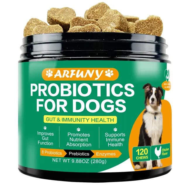 Probiotics for Dogs: Boosting Gut Health, Alleviating Skin Allergies, and Support Immune System with Chews and Digestive Enzymes