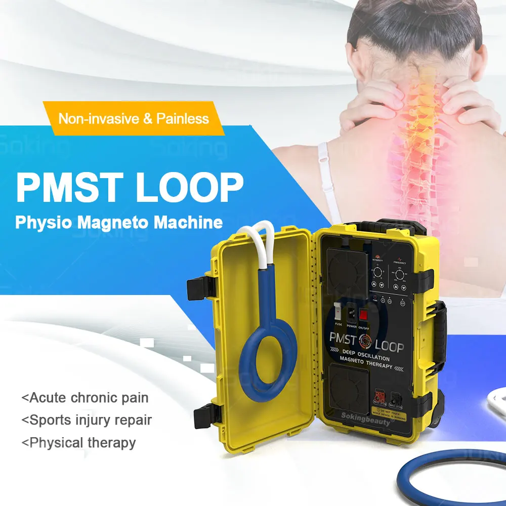 Pulsed Electromagnetic Fields Therapy Device PEMF Physiotherapy Machines PMST LOOP Include Butterfly Loop 6000GS