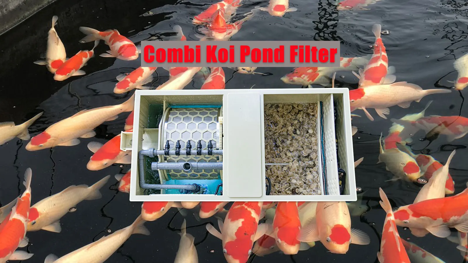 QLOZONE Household Garden Pond Water Filter with Pump Wholesale Combi Koi  Pond Filter Commercial Fish Pond Filter System, image size:1600x900