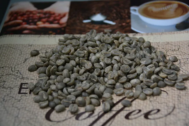 Превосходные кофейные зерна Арабика, очищенные зеленые кофейные зерна для продажи