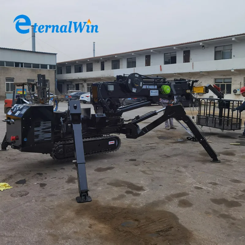3T 5T Telescopic Boom Mini Crawler Spyder Crane for Sale