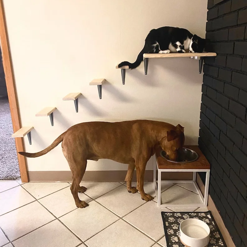 Cat food station top dog proof