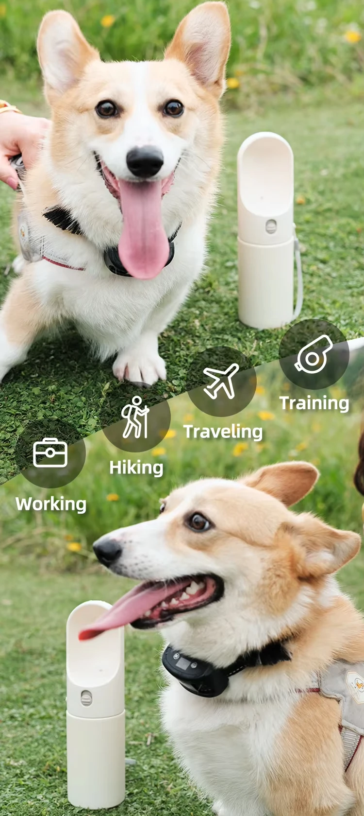 Dog Water Bottle Stainless Steel Insulated Dog Water Bottle Portable Accompanying Cup Walking Dog Water Bottle for Pets manufacture
