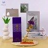 purple rose with purple box