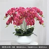 Bacino bianco con orchidea rosa calda
