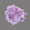 Purple with branches