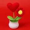 Red-Caring Daisy Potted Plant