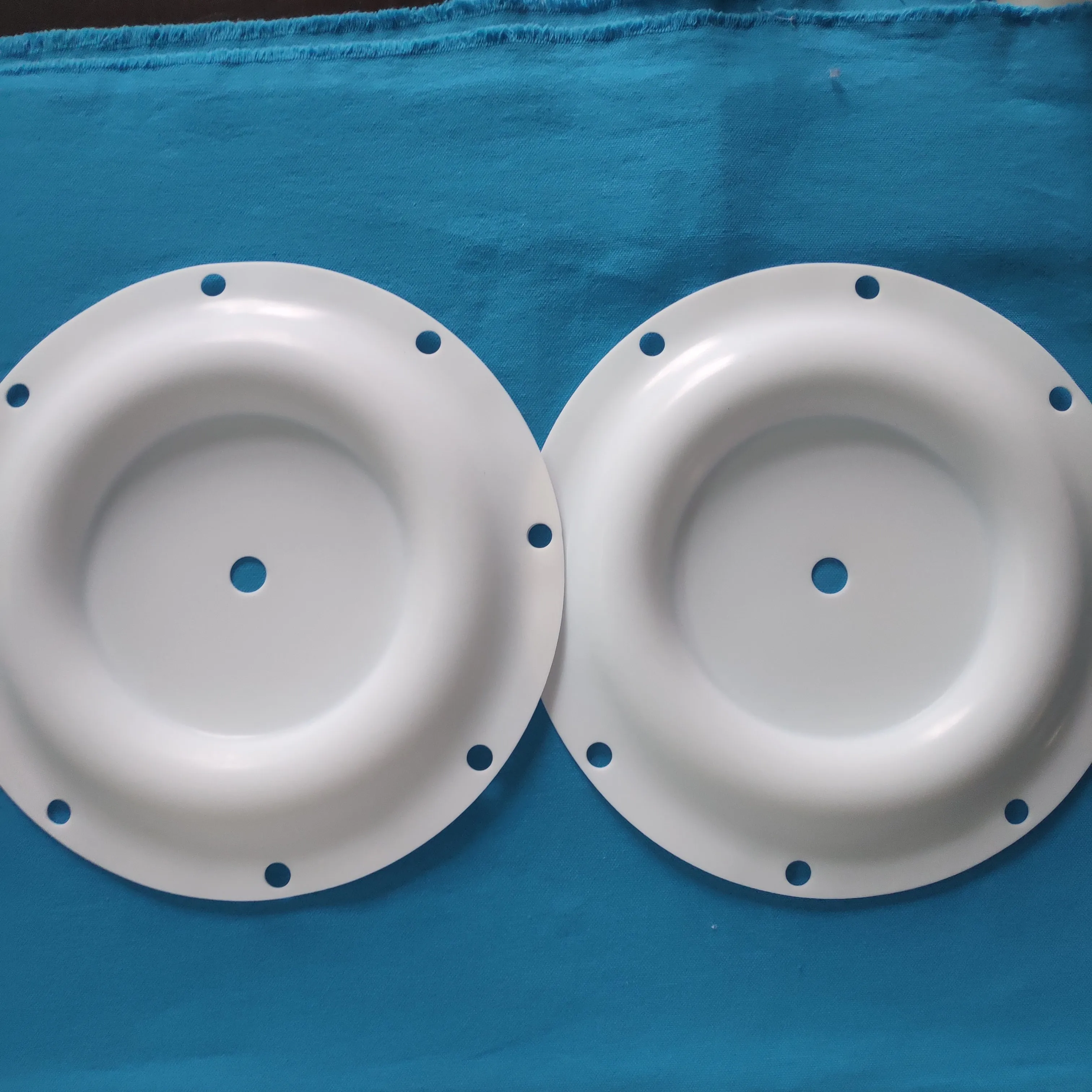 CF286.099.600 Diaphragm factory