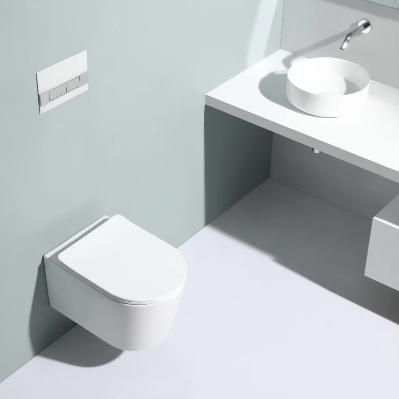 water-efficient ceramic toilet