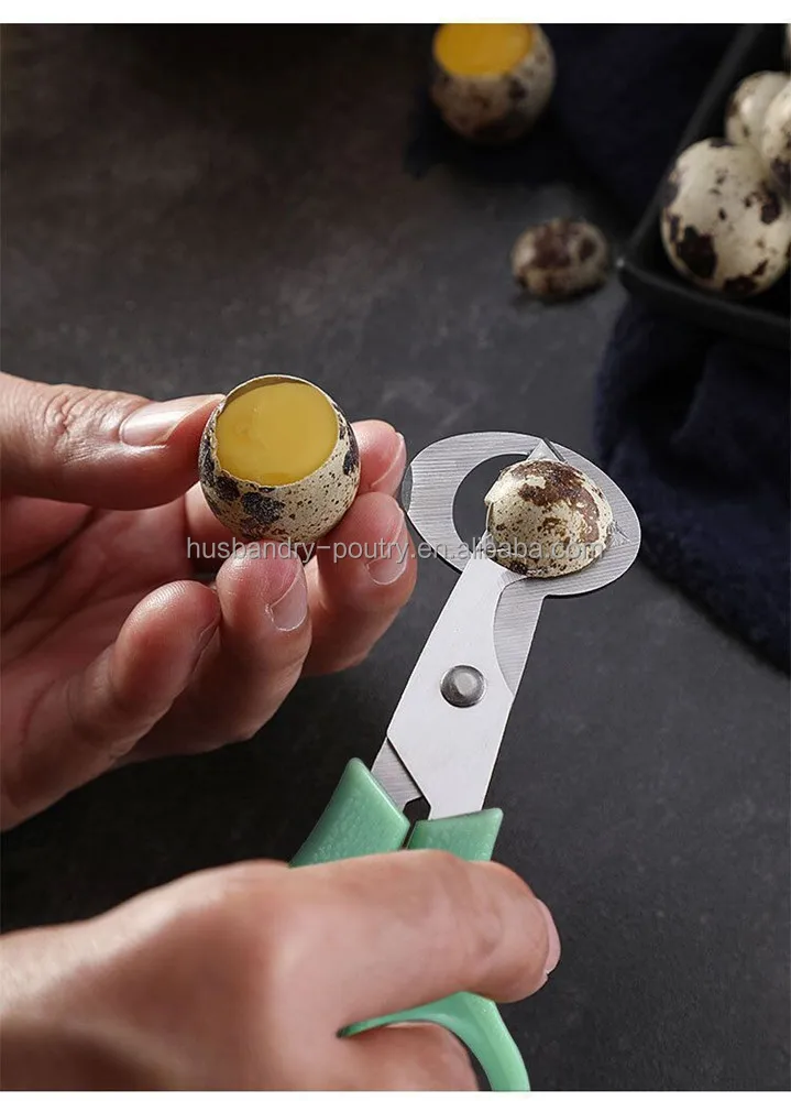 Scissor Kitchen Scissor Quail Egg Scissor Buy Quail Egg Scissors