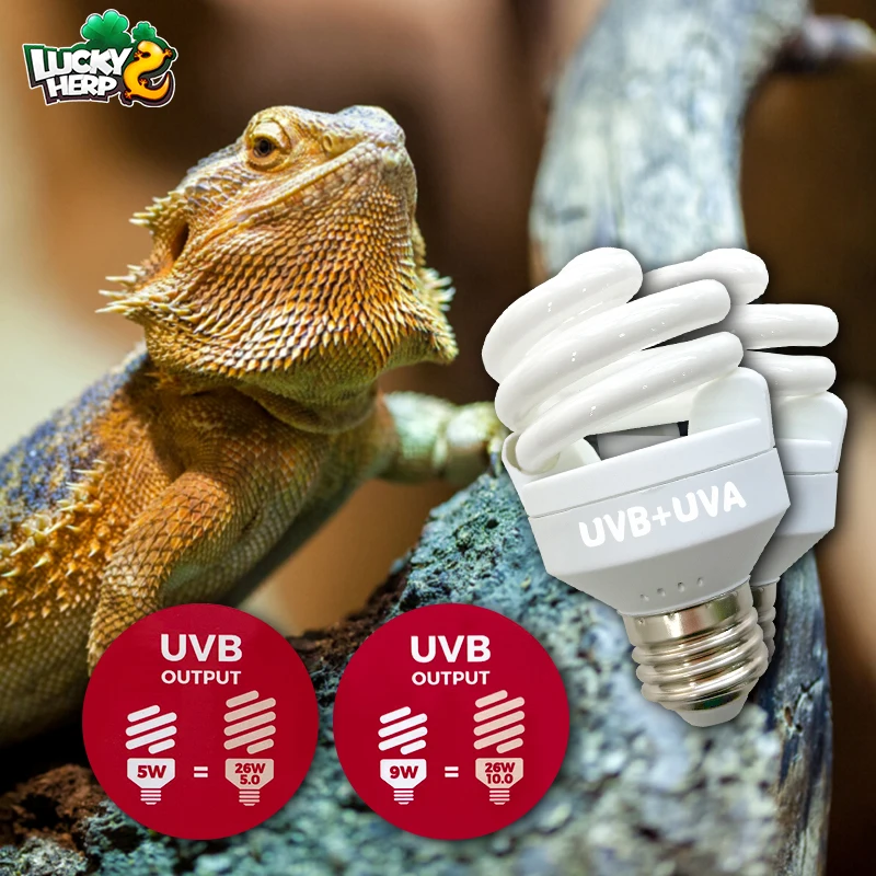 Lucky Herp Mini UVB Lights Ideal for Bearded Dragons