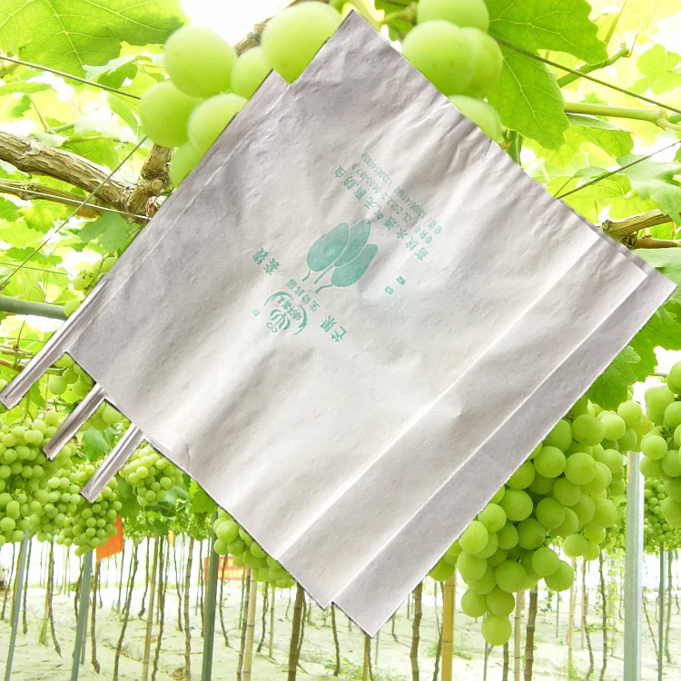 Plastic Cover Mango Protection Waterproof On Sales Banana Fruit Growing Paper Bag
