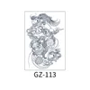 GZ-113