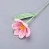 ช่อดอกทิวลิปแบบเปิดสำเร็จรูป (สีชมพู)