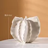 Tridacna (big white)