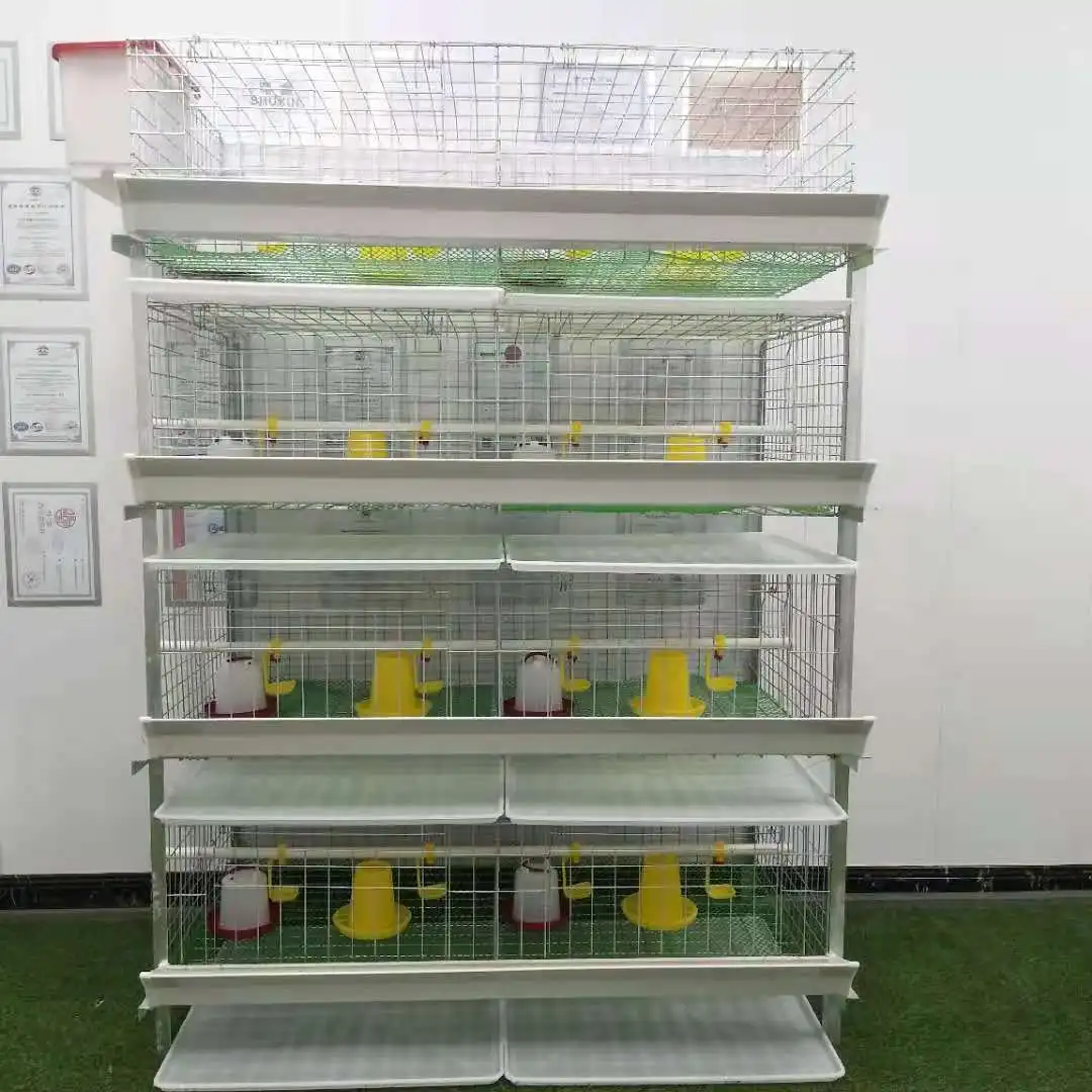 Automatic Chicken Breeding Equipment  Galvanized Vertical Chicken Cage Manufacturers Direct Spot Supply