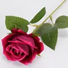 Rojo rosa (terciopelo)