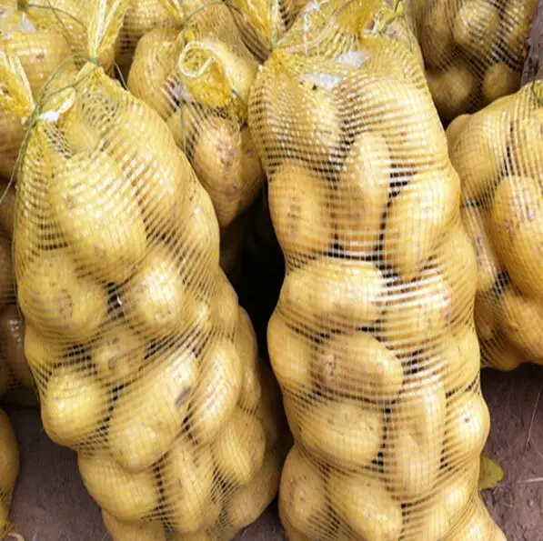 Potato in meshbag 10.jpg