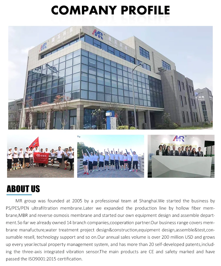 100m3/Hour Reverse Osmosis System with 99.9% Salt Rejection and 1 Year Warranty for Borehole Water Purification