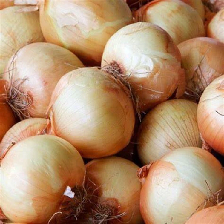 
2021 Top Quality Chinese No Peeled Fresh Natural Yellow Onion In Bulk 