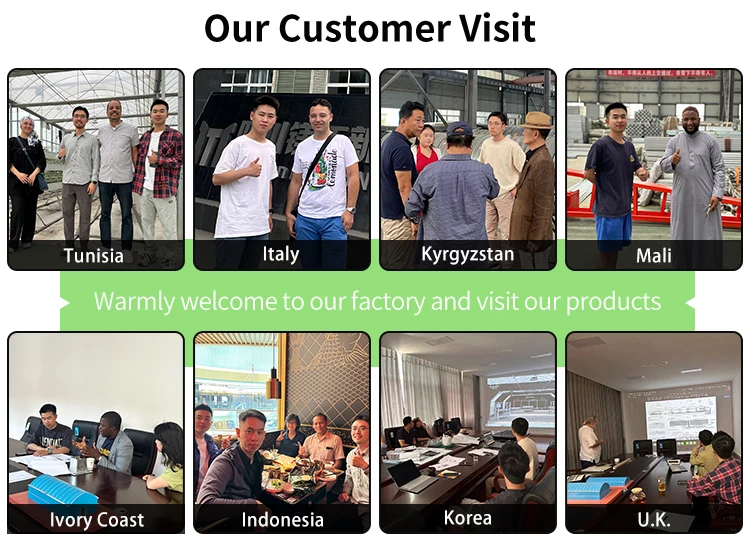 Customizable Size Hot Dipped Galvanized Steel Frame PE Film Covering Rain Shelter Greenhouse for Plants Cultivation