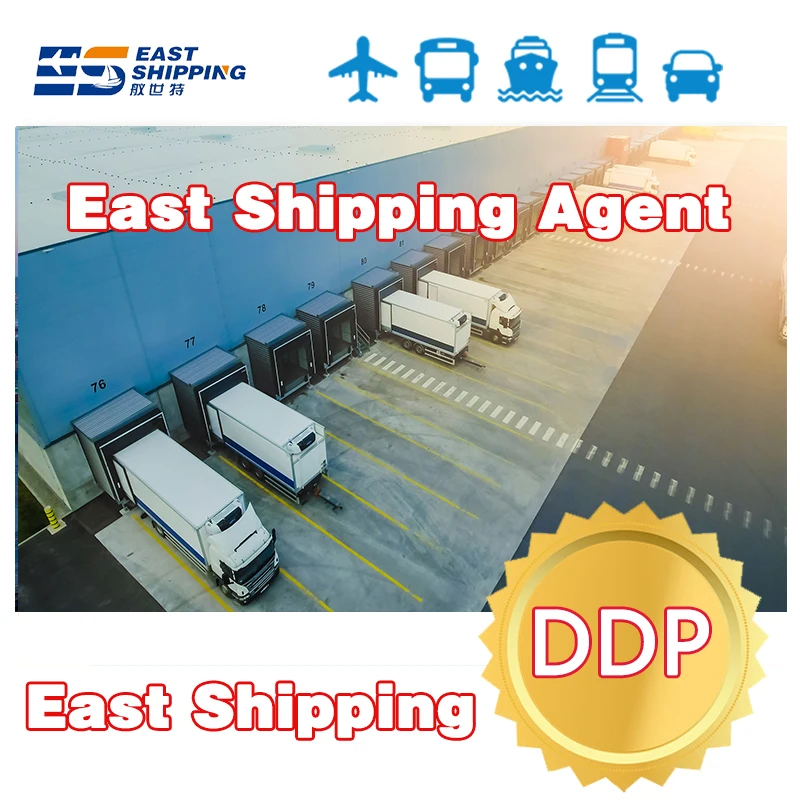 International Express Agencia De Transporte Cargo Agency Shipping Agent Freight Forwarder Transitario Ddp To Brazil