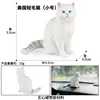 colorato PL127-3345 Gatto a pelo corto