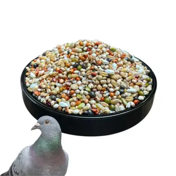 Wholesale Fresh Nutritional Pet Food Spotted dove young bird birdling Seed Mix Small pigeon feed Young pigeon food