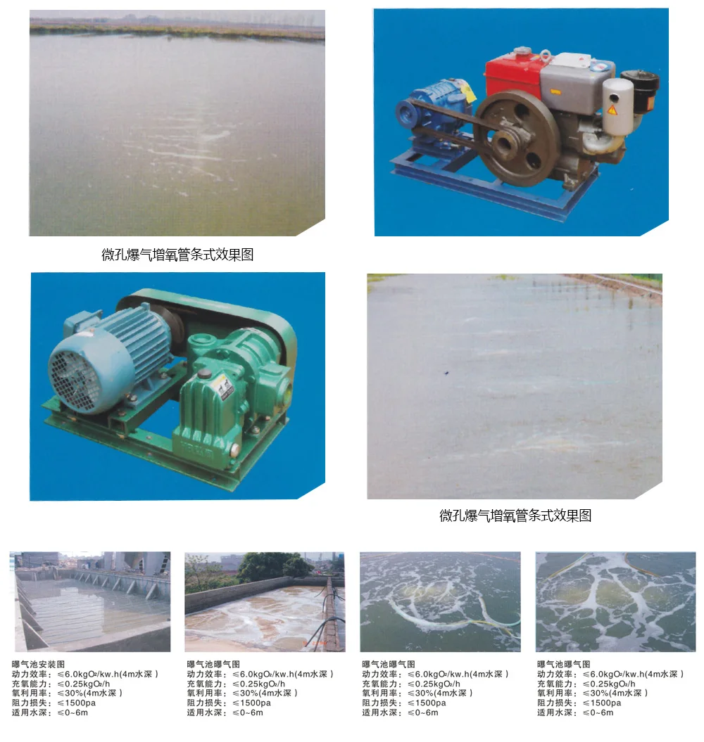 Roots Blower, FUTI, TWO, BLADES, HORIZONTAL - detail 12
