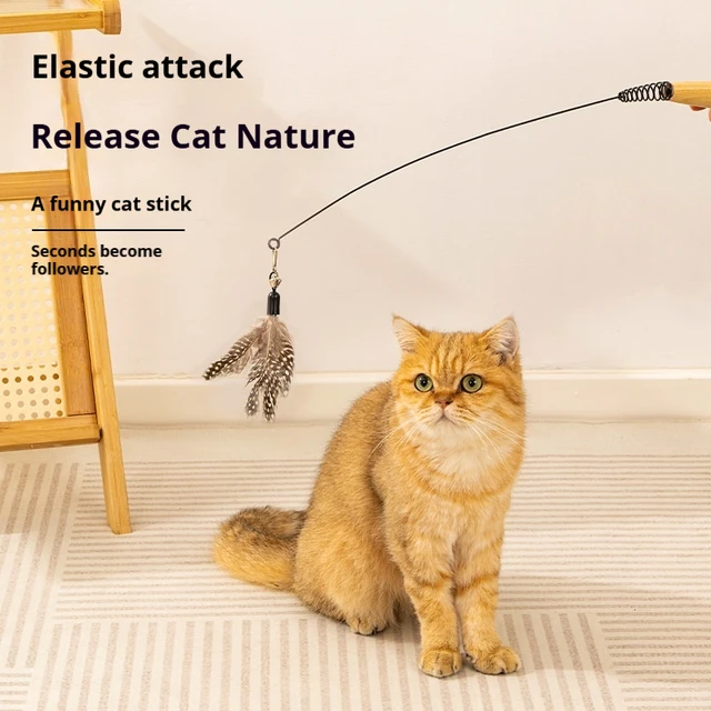 Interactive Eco-Friendly Cat Toy Lovely Sport Pet Teaser Stick with Feather Simple Design Metal Toy for Play
