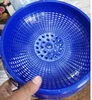 Nido blu