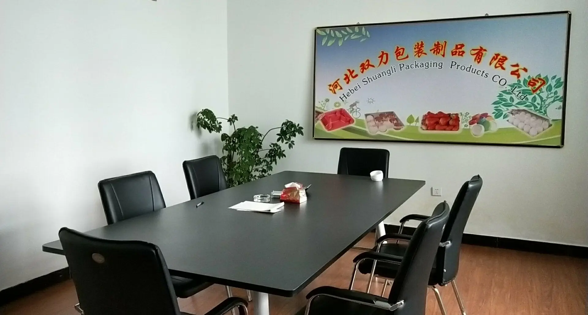 Hebei Shuangli Packaging Products Co., Ltd. 2
