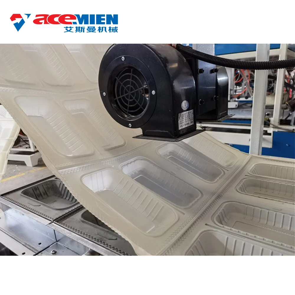 Plastic Lunch Box Machine PP Container Forming Thermoforming Machine