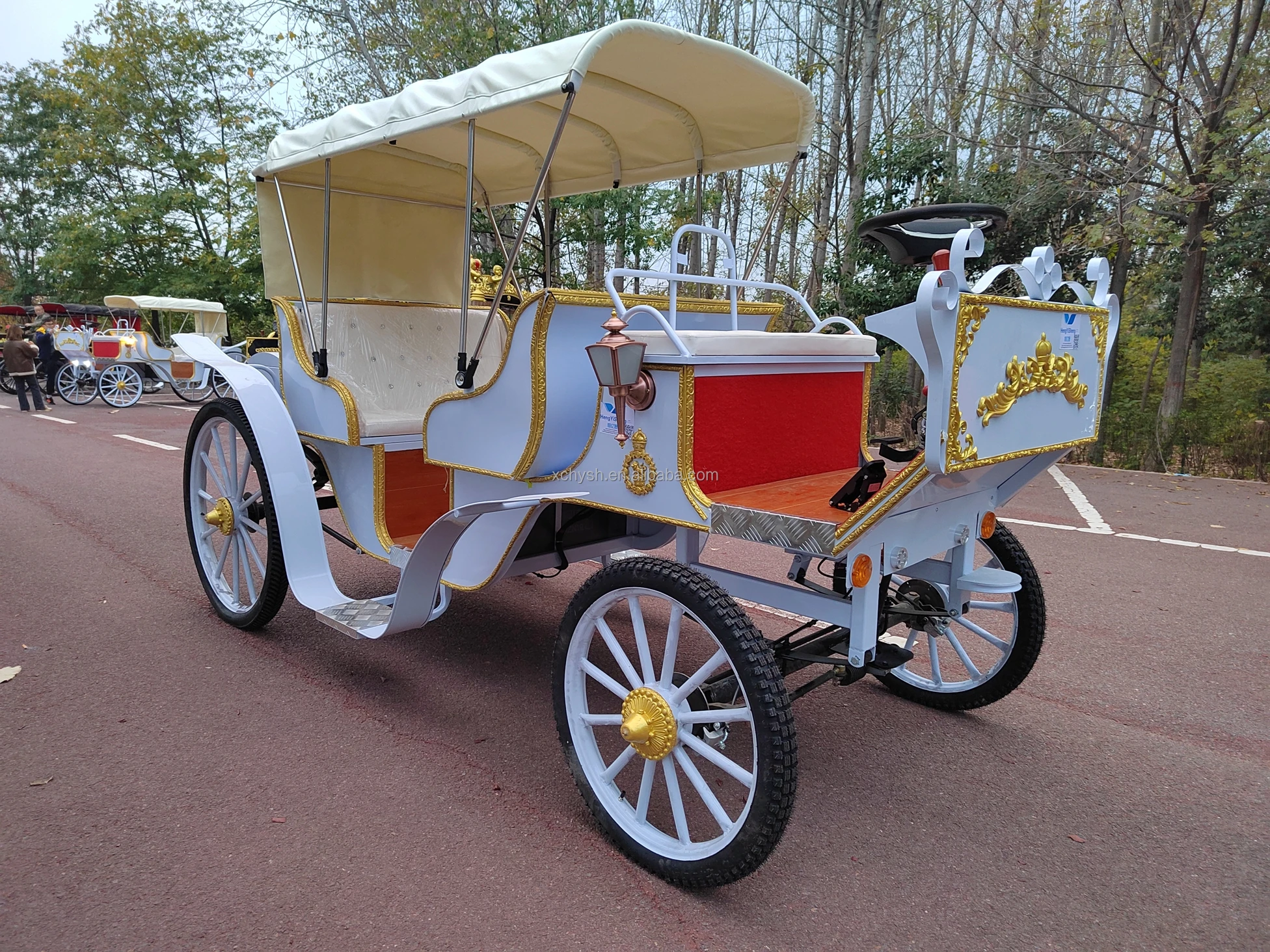 6seater Electric Special Transport Vehicle/noble Electric Tourist