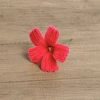 #6 rose pink