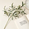 Qinghuai 4 Forks Olive (Double Colored Fruit) 71cm