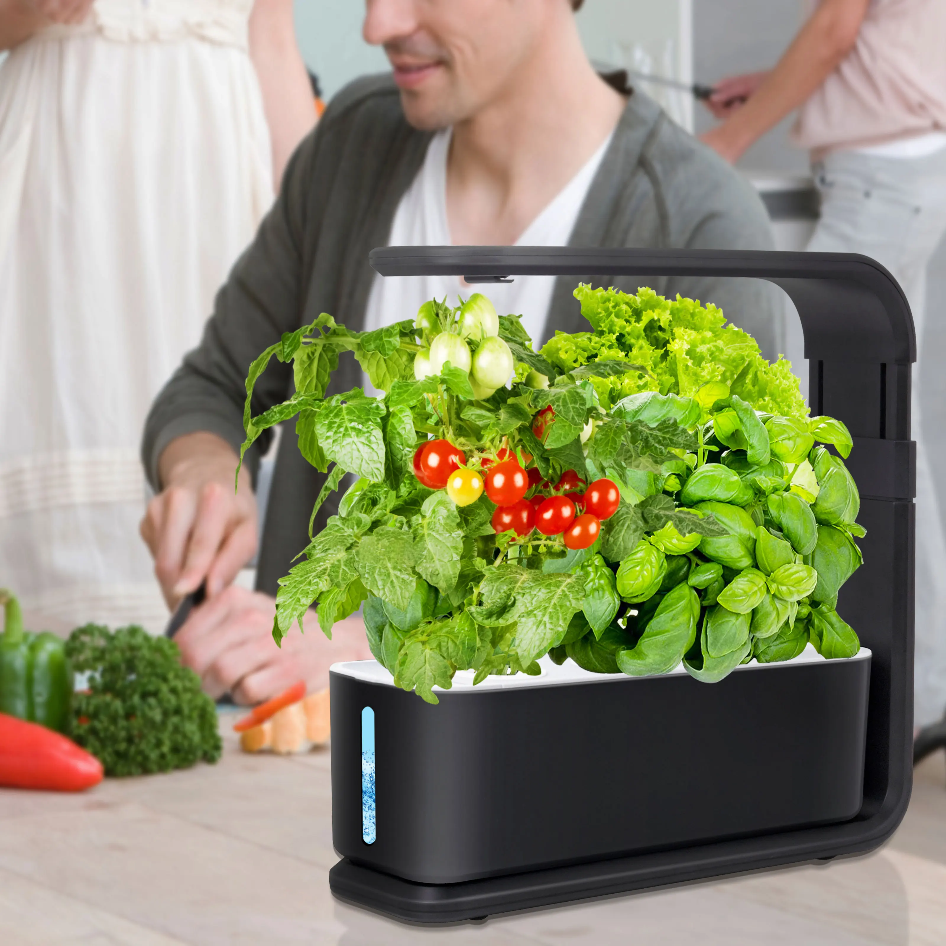 Brimmel Hydroponics Kitchen Kit Indoor Growing Systems Mini Smart Home